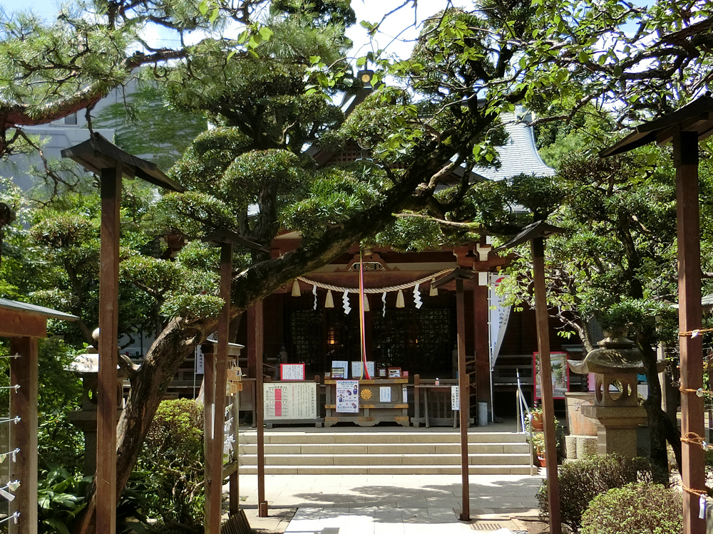 鳩 森 八幡 神社 御朱印 限定