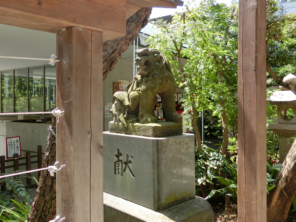 鳩森八幡神社の左の狛犬