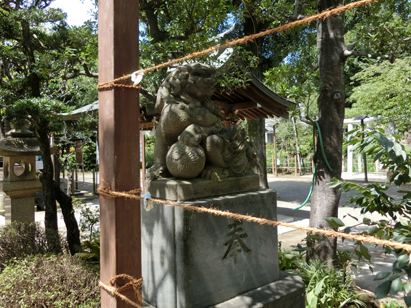 鳩森八幡神社の右の狛犬