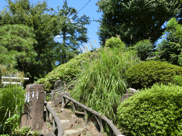 鳩森八幡神社の富士塚