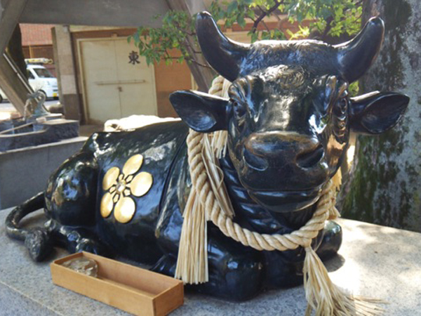 新井天神北野神社の撫で牛