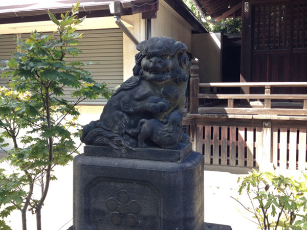 新井天神北野神社の左の狛犬