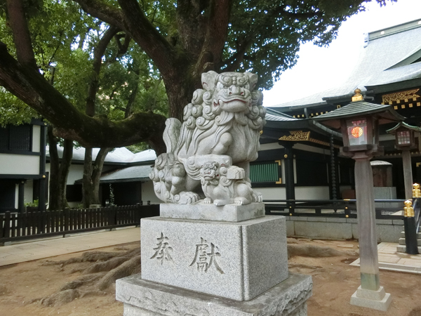 穴八幡宮の左の狛犬