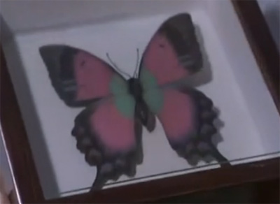 f:id:inudenchi:20160914114419j:plain