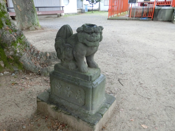 青渭神社の左の狛犬