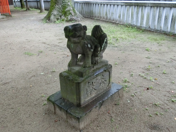 青渭神社の右の狛犬