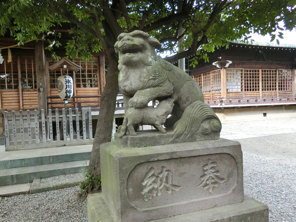 本郷氷川神社の右の狛犬