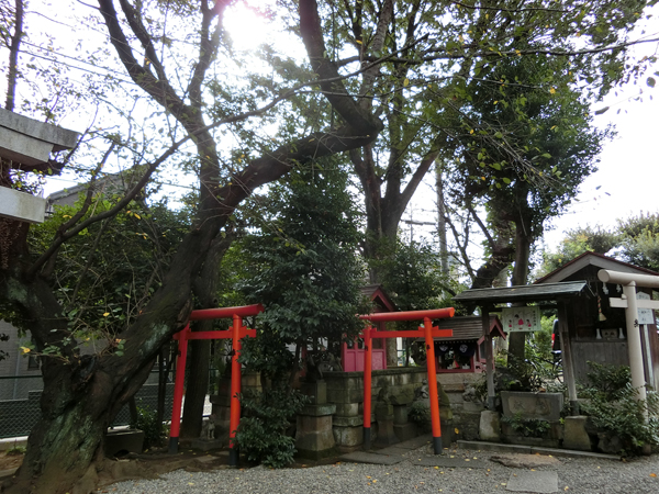 f:id:inudenchi:20161024193023j:plain