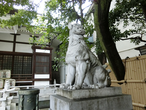 鳥越神社の右の狛犬