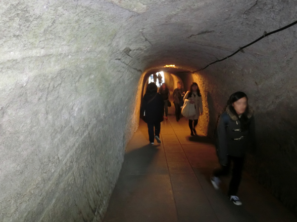 f:id:inudenchi:20161123142631j:plain f:id:inudenchi:20161123142631j:plain