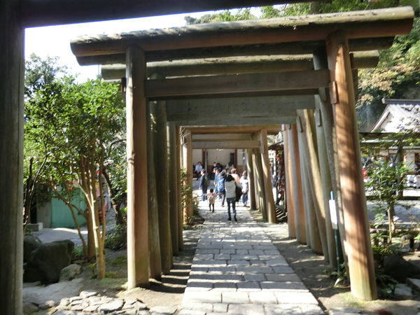 f:id:inudenchi:20161123142654j:plain f:id:inudenchi:20161123142654j:plain