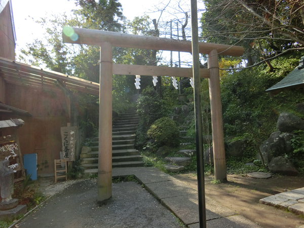 f:id:inudenchi:20161123142916j:plain f:id:inudenchi:20161123142916j:plain