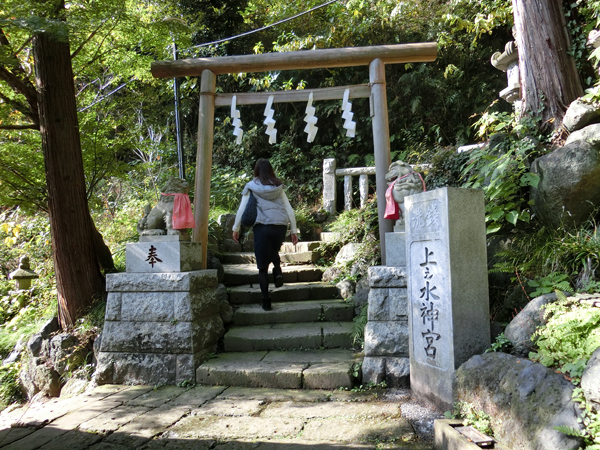 f:id:inudenchi:20161123143714j:plain f:id:inudenchi:20161123143714j:plain