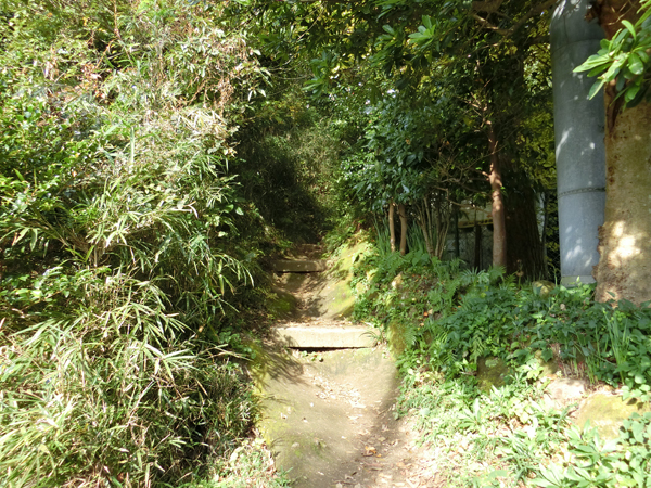 f:id:inudenchi:20161123143937j:plain f:id:inudenchi:20161123143937j:plain