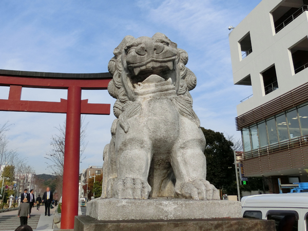 鶴岡八幡宮の右の狛犬