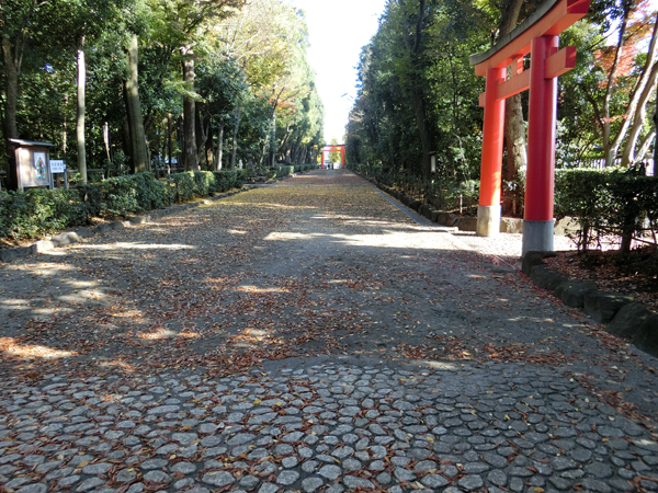 f:id:inudenchi:20161203171451j:plain f:id:inudenchi:20161203171451j:plain