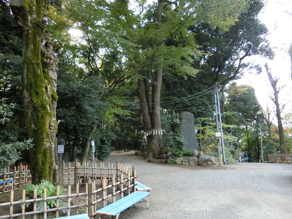 f:id:inudenchi:20161205173543j:plain