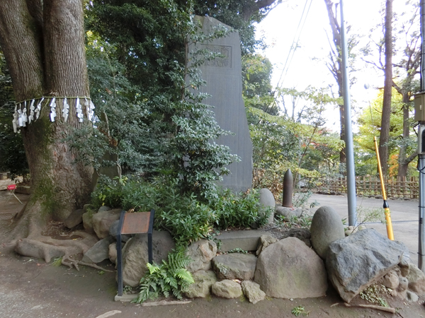 f:id:inudenchi:20161205173751j:plain