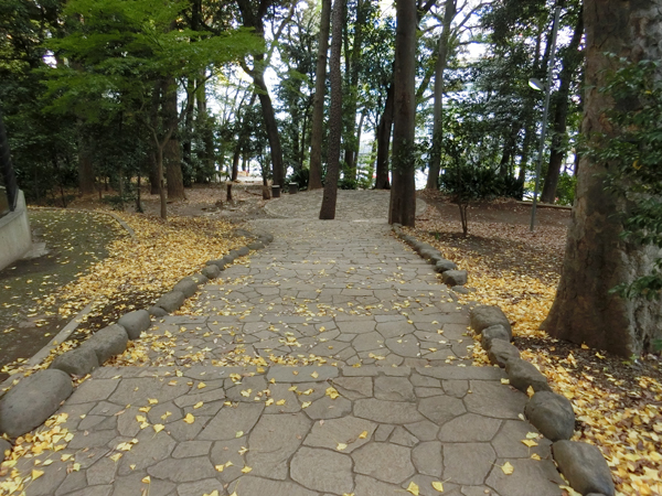 f:id:inudenchi:20161205173908j:plain