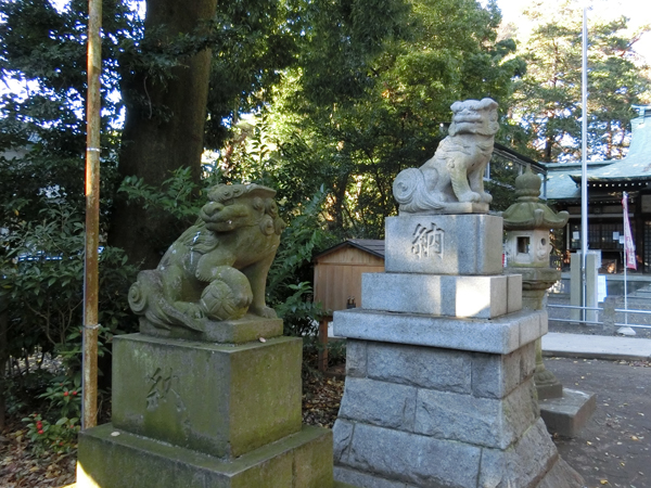 下高井戸浜田山八幡神社の左の狛犬