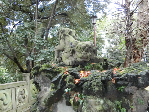 赤坂氷川神社の左の狛犬