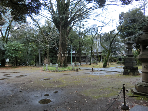 f:id:inudenchi:20161221112453j:plain