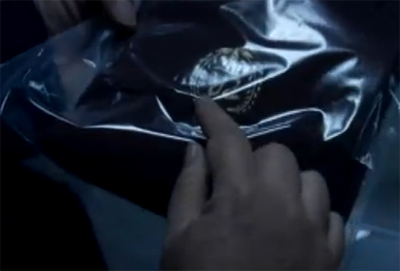 f:id:inudenchi:20170118103952j:plain