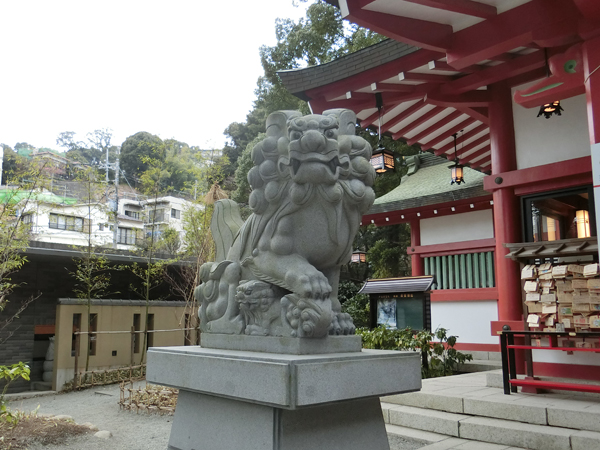 来宮神社の左の狛犬