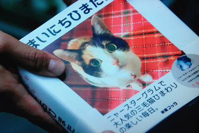 f:id:inudenchi:20170216001834j:plain