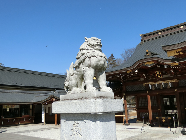 立川諏訪神社の左の狛犬