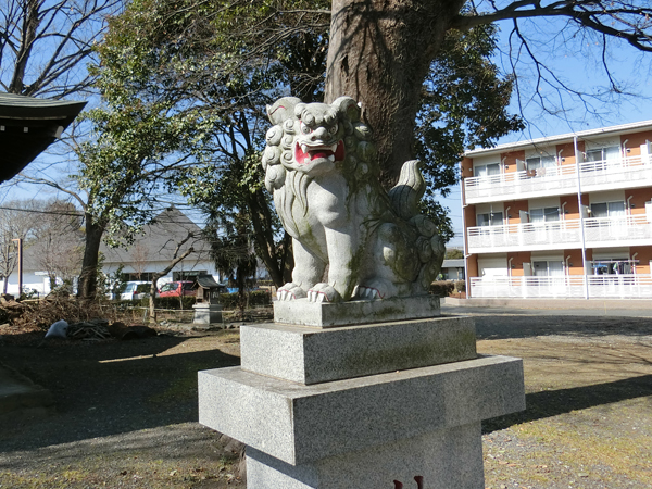 八幡大神社の右の狛犬