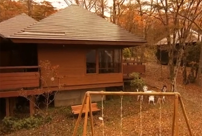 f:id:inudenchi:20170228115456j:plain