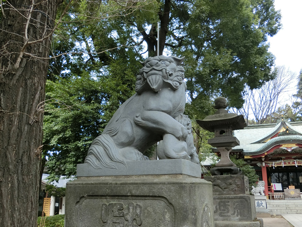 中野氷川神社の左の狛犬