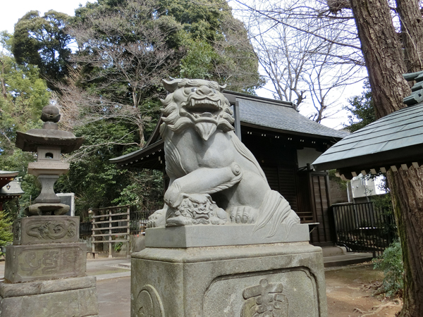 中野氷川神社の右の狛犬