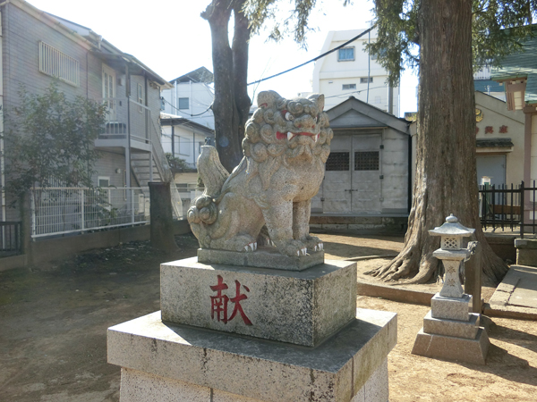 新中野天祖神社の左の狛犬