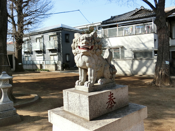 新中野天祖神社の右の狛犬