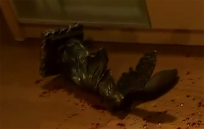 f:id:inudenchi:20170319105735j:plain