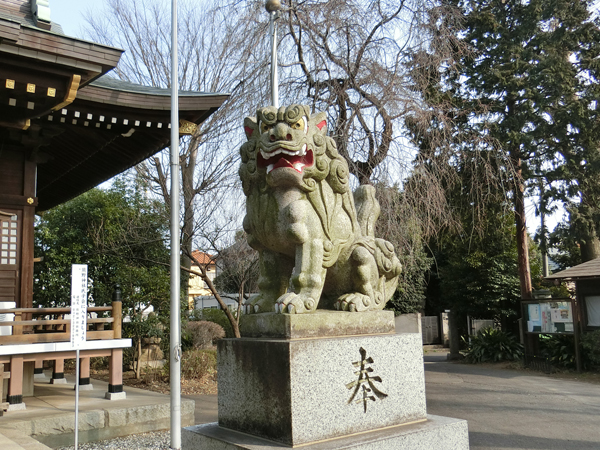 恋ヶ窪熊野神社の右の狛犬