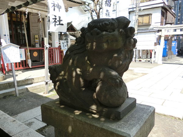 椙森神社の左の狛犬
