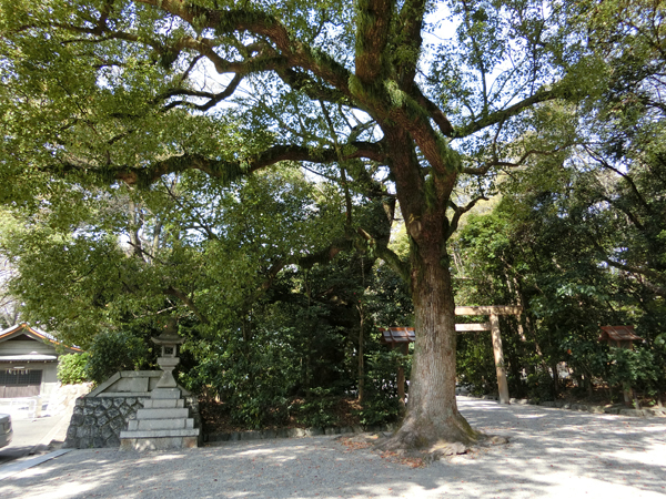 f:id:inudenchi:20170424210431j:plain