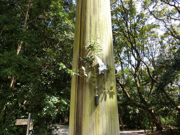 f:id:inudenchi:20170424210509j:plain