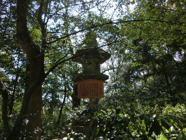 f:id:inudenchi:20170424210553j:plain