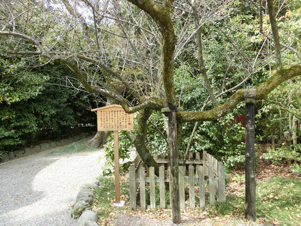 f:id:inudenchi:20170424211714j:plain