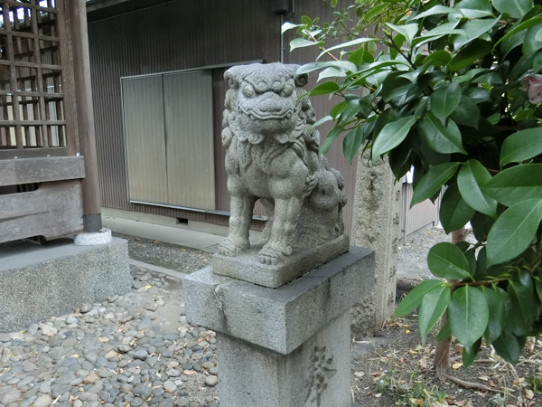 金刀比羅神社の右の狛犬