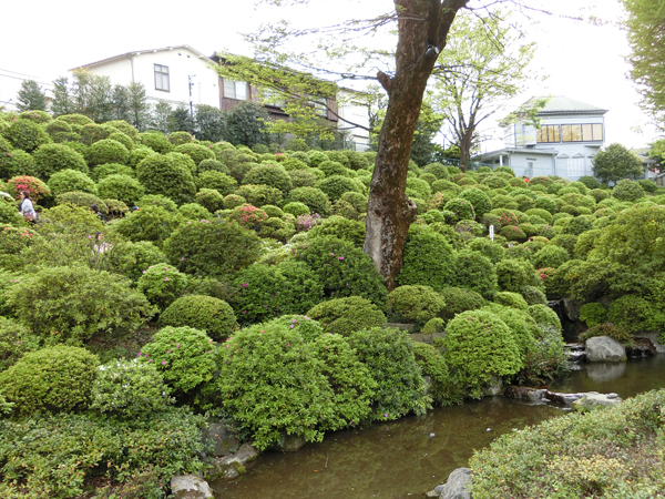 f:id:inudenchi:20170514221327j:plain