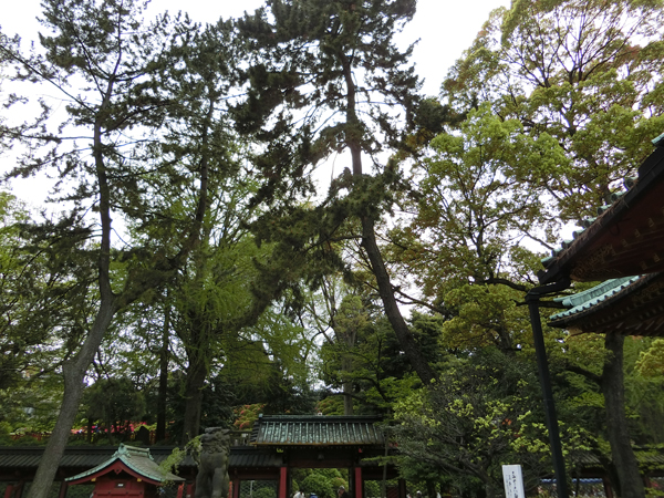 f:id:inudenchi:20170514222017j:plain