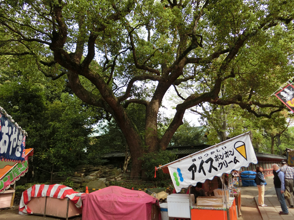 f:id:inudenchi:20170514222634j:plain