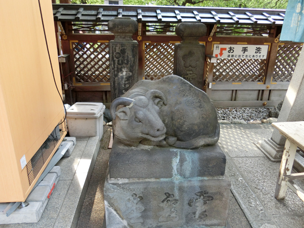 湯島天神の古い撫で牛