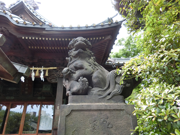 荏原神社の右の狛犬