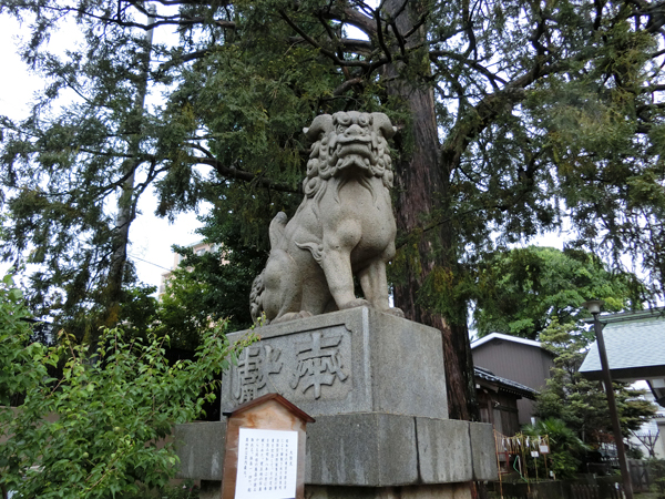 下神明天祖神社の左の狛犬